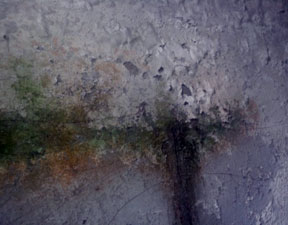 Dampness on the wall compProject2